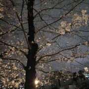 ヒメ日記 2025/03/29 12:57 投稿 桃原姉さん 男性機能鍛錬道場