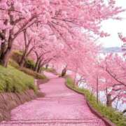 ヒメ日記 2025/04/04 16:46 投稿 桃原姉さん 男性機能鍛錬道場