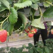 ヒメ日記 2025/04/08 12:02 投稿 桃原姉さん 男性機能鍛錬道場