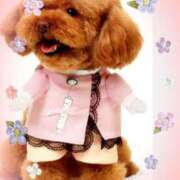 ヒメ日記 2025/04/22 12:12 投稿 桃原姉さん 男性機能鍛錬道場