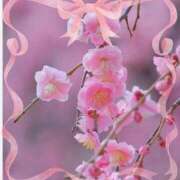 ヒメ日記 2026/02/05 16:14 投稿 桃原姉さん 男性機能鍛錬道場