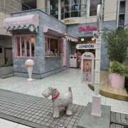 ヒメ日記 2026/04/10 13:02 投稿 桃原姉さん 男性機能鍛錬道場