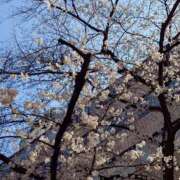 ヒメ日記 2026/03/29 13:44 投稿 竹中姉さん 男性機能鍛錬道場