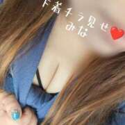 ヒメ日記 2025/08/11 10:41 投稿 みな 滋賀彦根ちゃんこ