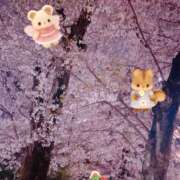 ヒメ日記 2025/04/06 11:43 投稿 まや ハロウィン