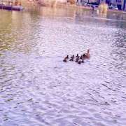 ヒメ日記 2026/02/22 07:24 投稿 まや ハロウィン