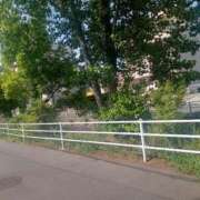 ヒメ日記 2025/05/07 09:55 投稿 あずさ 奥様鉄道69 東京店