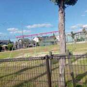 ヒメ日記 2025/05/07 17:15 投稿 あずさ 奥様鉄道69 東京店