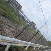 ヒメ日記 2025/06/18 16:25 投稿 あずさ 奥様鉄道69 東京店