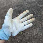 ヒメ日記 2025/08/22 05:55 投稿 あずさ 奥様鉄道69 東京店