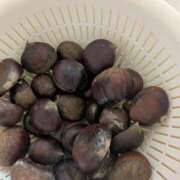 ヒメ日記 2025/09/08 10:15 投稿 あずさ 奥様鉄道69 東京店