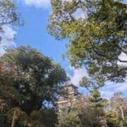 ヒメ日記 2025/11/10 16:07 投稿 あずさ 奥様鉄道69 東京店