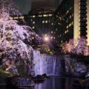 ヒメ日記 2025/04/02 13:12 投稿 愛沢ちはる こあくまな熟女たち 千葉店（KOAKUMAグループ）