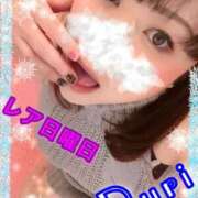 ヒメ日記 2025/02/16 05:44 投稿 瑠璃(るり) ビッグバード