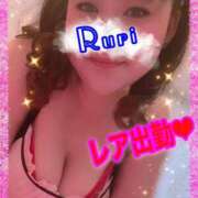 ヒメ日記 2025/04/13 06:04 投稿 瑠璃(るり) ビッグバード