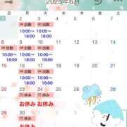 ヒメ日記 2025/06/01 08:24 投稿 瑠璃(るり) ビッグバード