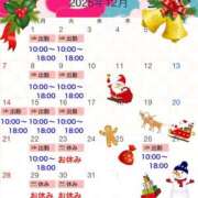 ヒメ日記 2025/11/29 07:54 投稿 瑠璃(るり) ビッグバード