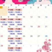 瑠璃(るり) ✨3月シフト✨2月有難う✨ ビッグバード