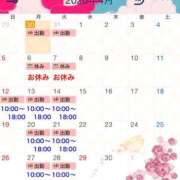 ヒメ日記 2026/03/30 00:34 投稿 瑠璃(るり) ビッグバード