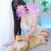 ヒメ日記 2025/08/22 00:59 投稿 はづき ロイヤル土佐