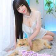 ヒメ日記 2025/10/23 16:29 投稿 はづき ロイヤル土佐