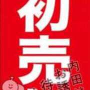 ヒメ日記 2024/01/05 02:45 投稿 内田ひかる お色気物語（横浜ハレ系）