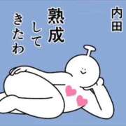 内田ひかる 熟女のたるみ お色気物語（横浜ハレ系）