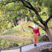 ヒメ日記 2025/11/02 09:46 投稿 ななか 奥鉄オクテツ東京店（デリヘル市場）