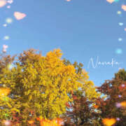 ヒメ日記 2025/11/26 18:50 投稿 ななか 奥鉄オクテツ東京店（デリヘル市場）