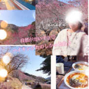 ヒメ日記 2026/02/18 11:19 投稿 ななか 奥鉄オクテツ東京店（デリヘル市場）