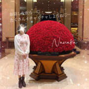 ヒメ日記 2026/02/27 07:25 投稿 ななか 奥鉄オクテツ東京店（デリヘル市場）