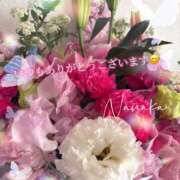 ヒメ日記 2026/02/28 17:01 投稿 ななか 奥鉄オクテツ東京店（デリヘル市場）