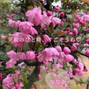 ヒメ日記 2026/04/02 09:20 投稿 ななか 奥鉄オクテツ東京店（デリヘル市場）