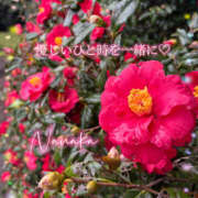 ヒメ日記 2026/04/02 21:28 投稿 ななか 奥鉄オクテツ東京店（デリヘル市場）