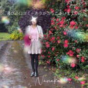 ヒメ日記 2026/04/06 10:24 投稿 ななか 奥鉄オクテツ東京店（デリヘル市場）