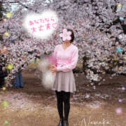 ヒメ日記 2026/04/15 09:06 投稿 ななか 奥鉄オクテツ東京店（デリヘル市場）