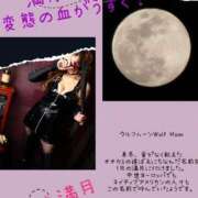 ヒメ日記 2025/01/14 20:20 投稿 RISA講師 Ｓ＆Ｍ　極嬢