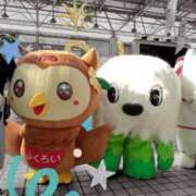 ヒメ日記 2025/02/22 16:34 投稿 RISA講師 Ｓ＆Ｍ　極嬢