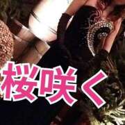 ヒメ日記 2025/03/31 23:50 投稿 RISA講師 Ｓ＆Ｍ　極嬢