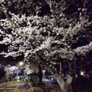 ヒメ日記 2025/04/03 23:50 投稿 RISA講師 Ｓ＆Ｍ　極嬢