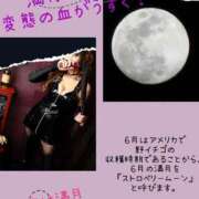 ヒメ日記 2025/06/12 00:10 投稿 RISA講師 Ｓ＆Ｍ　極嬢