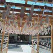 ヒメ日記 2025/07/29 21:20 投稿 RISA講師 Ｓ＆Ｍ　極嬢