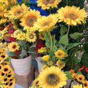 ヒメ日記 2025/08/05 13:43 投稿 RISA講師 Ｓ＆Ｍ　極嬢