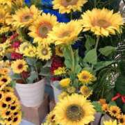 ヒメ日記 2025/08/05 14:00 投稿 RISA講師 Ｓ＆Ｍ　極嬢