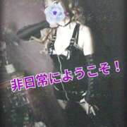 ヒメ日記 2025/08/27 00:10 投稿 RISA講師 Ｓ＆Ｍ　極嬢