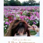 ヒメ日記 2025/11/02 19:01 投稿 RISA講師 Ｓ＆Ｍ　極嬢