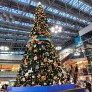 ヒメ日記 2025/11/19 13:00 投稿 RISA講師 Ｓ＆Ｍ　極嬢