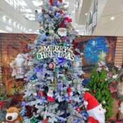 ヒメ日記 2025/12/10 16:20 投稿 RISA講師 Ｓ＆Ｍ　極嬢