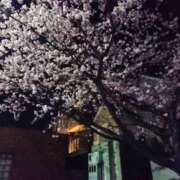 ヒメ日記 2026/03/08 18:31 投稿 RISA講師 Ｓ＆Ｍ極嬢