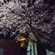 ヒメ日記 2026/03/08 18:40 投稿 RISA講師 Ｓ＆Ｍ極嬢